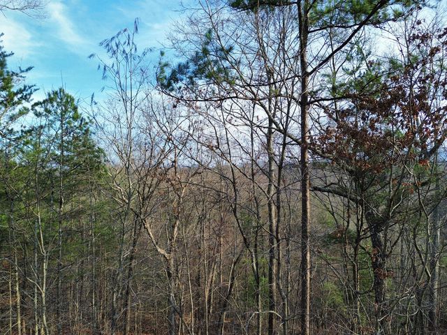 Tract 2 Century Lane, Blue Ridge, GA 30513