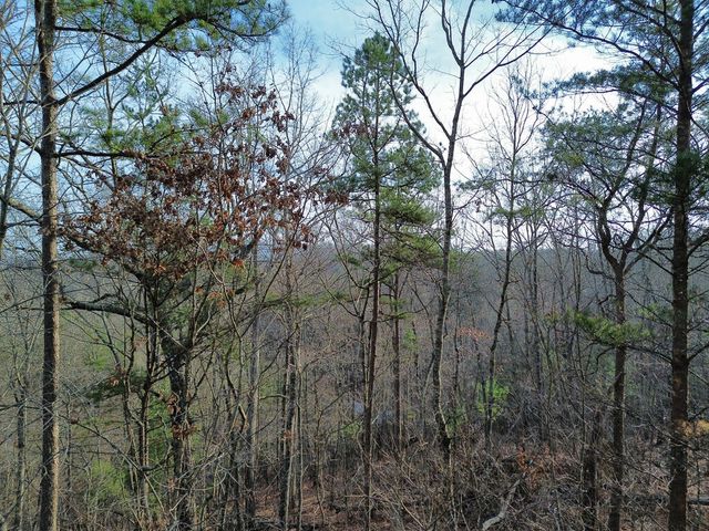 Tract 2 Century Lane, Blue Ridge, GA 30513