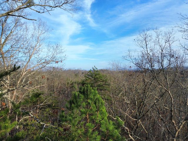 Tract 2 Century Lane, Blue Ridge, GA 30513