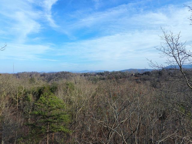 Tract 2 Century Lane, Blue Ridge, GA 30513
