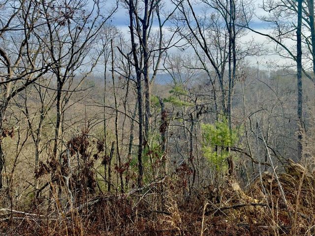 Tract 2 Century Lane, Blue Ridge, GA 30513
