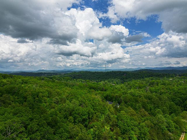 Tract 2 Century Lane, Blue Ridge, GA 30513