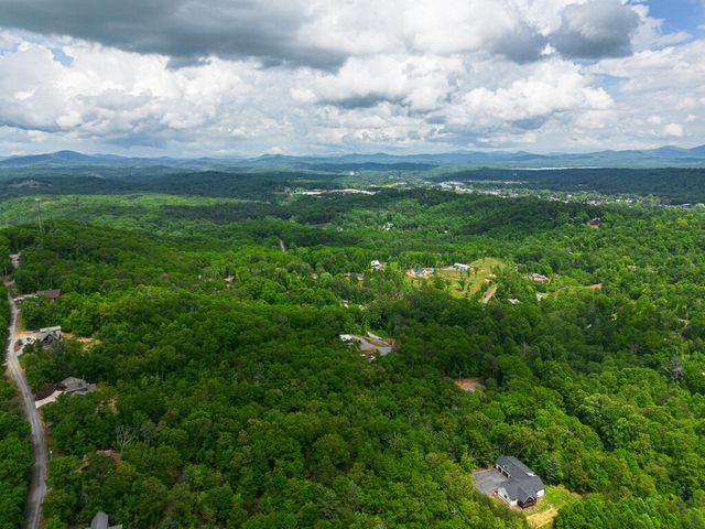 Tract 2 Century Lane, Blue Ridge, GA 30513