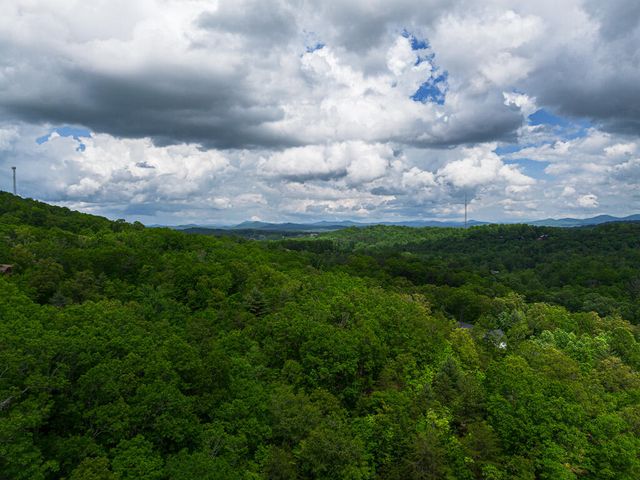Tract 2 Century Lane, Blue Ridge, GA 30513