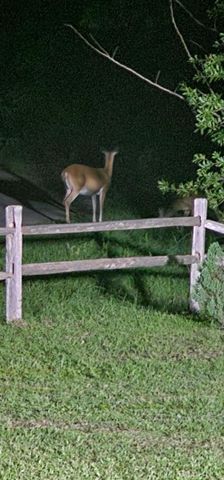 349 Roy Cooley Rd, Deridder, LA 70634