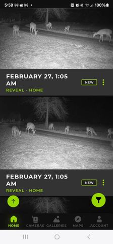 349 Roy Cooley Rd, Deridder, LA 70634