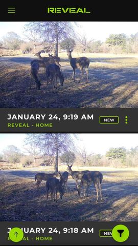 349 Roy Cooley Rd, Deridder, LA 70634