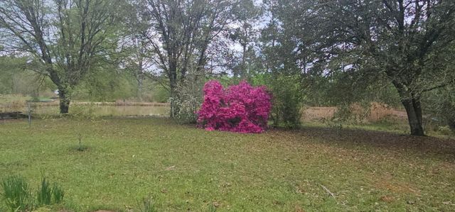 349 Roy Cooley Rd, Deridder, LA 70634