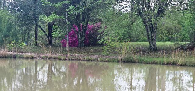 349 Roy Cooley Rd, Deridder, LA 70634