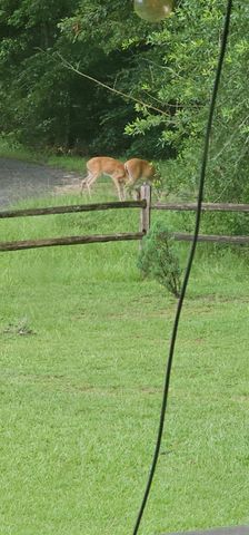 349 Roy Cooley Rd, Deridder, LA 70634