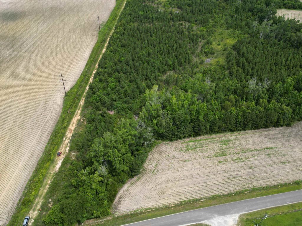 TBD Church Rd., Green Sea, SC 29545 — photo 2