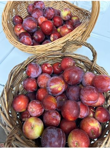 2676 S Velvet Falls Way, Meridian, ID 83642