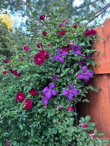 2676 S Velvet Falls Way, Meridian, ID 83642