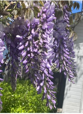 2676 S Velvet Falls Way, Meridian, ID 83642