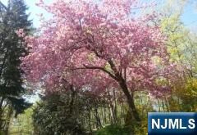 5 Summit Terrace, Kinnelon Borough, NJ 07405