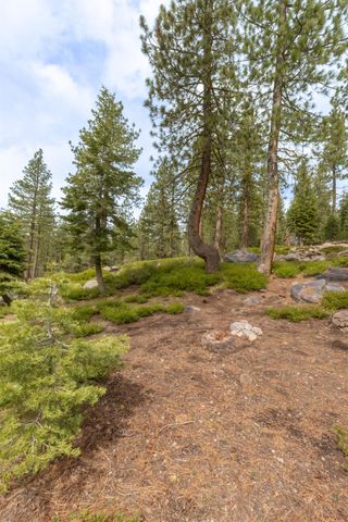 1379 Alpine Vis, Arnold, CA 95223