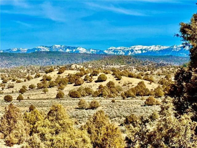 0 Desert View, Pinon Hills, CA 92372