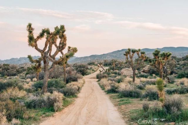 0 Desert View, Pinon Hills, CA 92372
