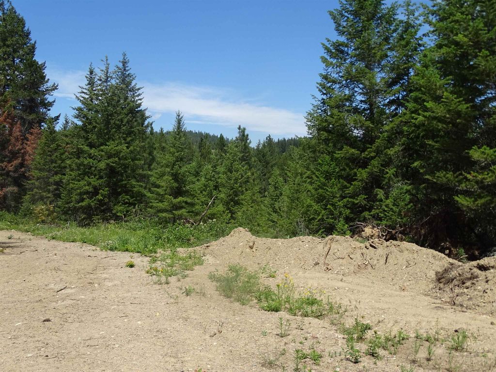 4482 Old E. Springdale Rd, Loon Lake, WA 99148 photo 1