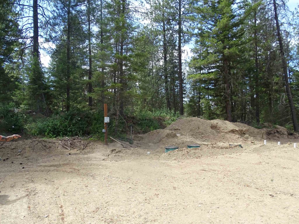 4482 Old E. Springdale Rd, Loon Lake, WA 99148 photo 4