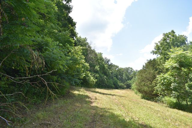 0 Nascar Ln, Pleasant Shade, TN 37145