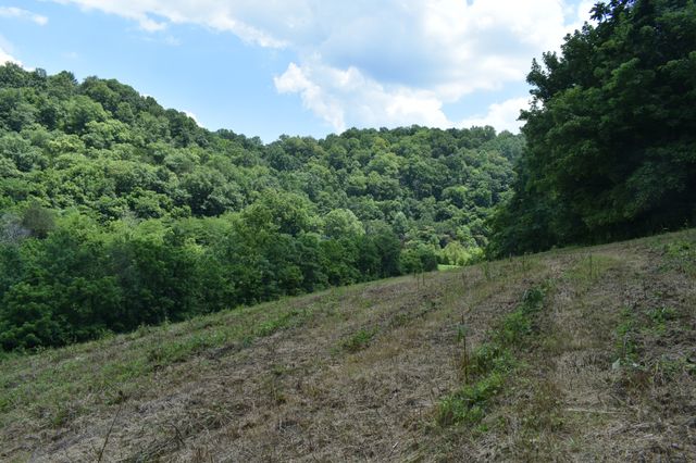 0 Nascar Ln, Pleasant Shade, TN 37145