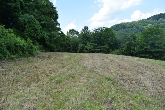 0 Nascar Ln, Pleasant Shade, TN 37145