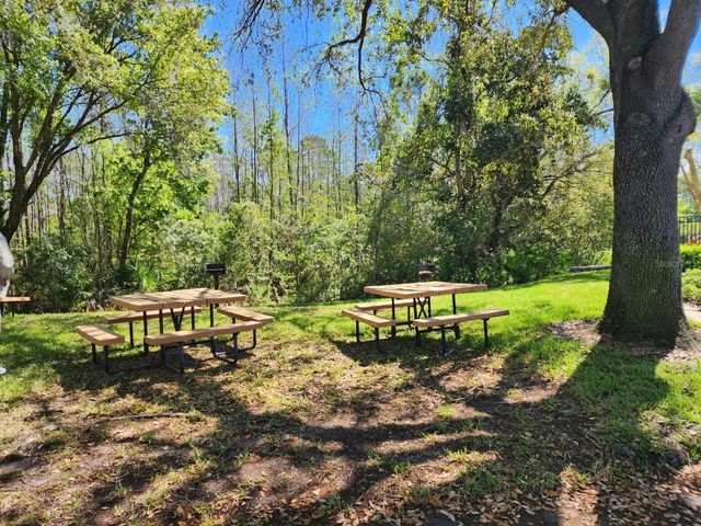 10115 MOWRY LANE, Tampa, FL 33625