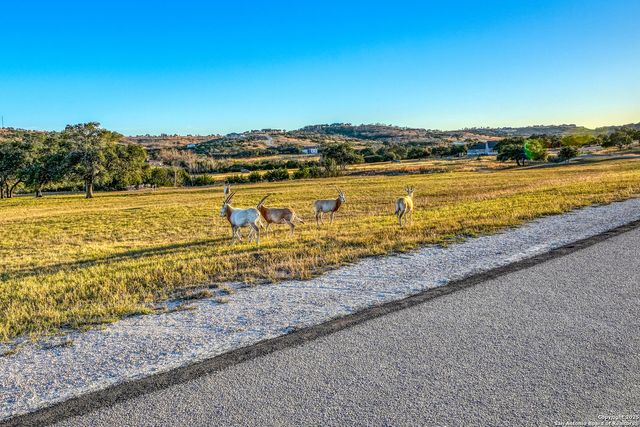 137 Falling Oak Dr, Blanco, TX 78606