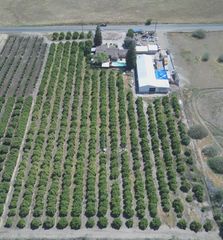 8521 Road 256, Terra Bella, CA 93270