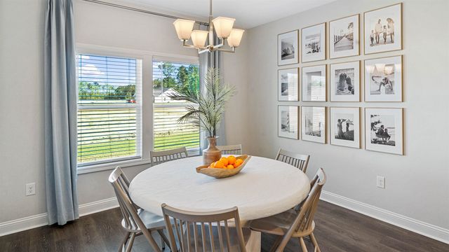 141 Furnies Place, Loris, SC 29569