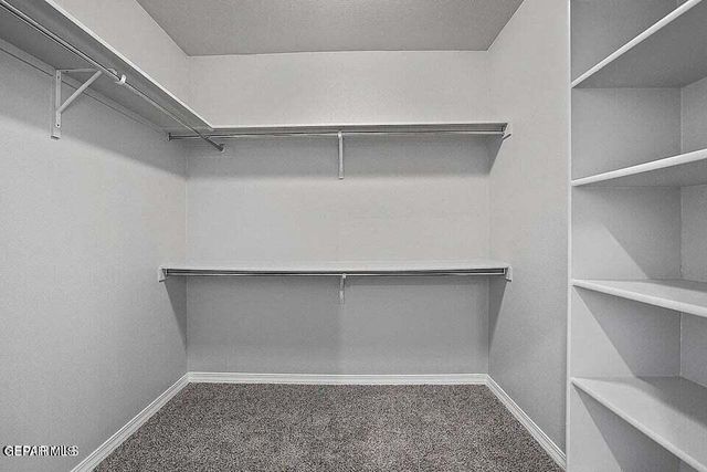 13404 Emerald Rose Court, Horizon City, TX 79928