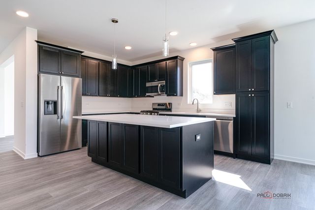 22106 W Casa Bella View, Kildeer, IL 60047