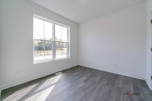 22106 W Casa Bella View, Kildeer, IL 60047