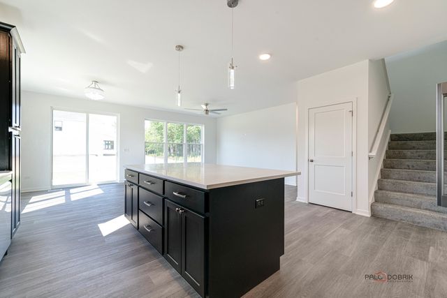 22106 W Casa Bella View, Kildeer, IL 60047