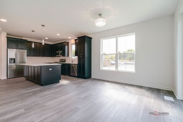 22106 W Casa Bella View, Kildeer, IL 60047