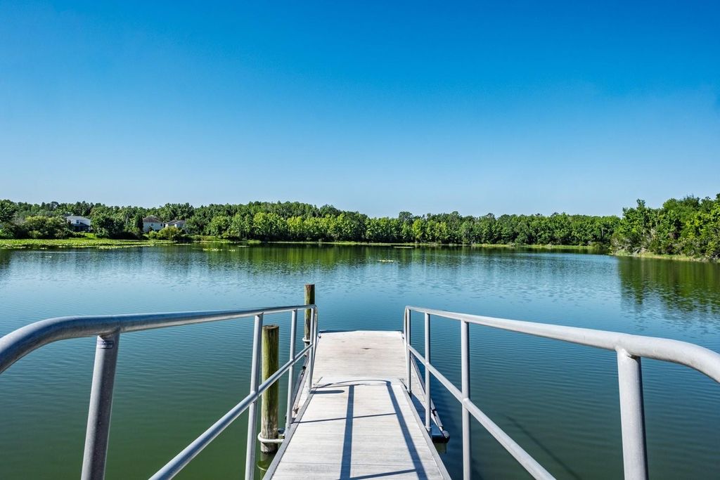 Image 47 of property listing at 7912 HAMPTON LAKE DRIVE, Tampa, FL 33647