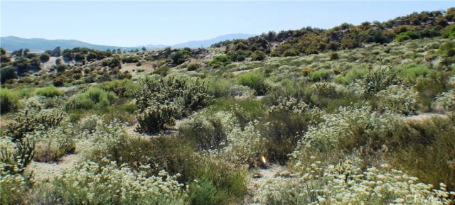 42560 Labrinia, Anza, CA 92539