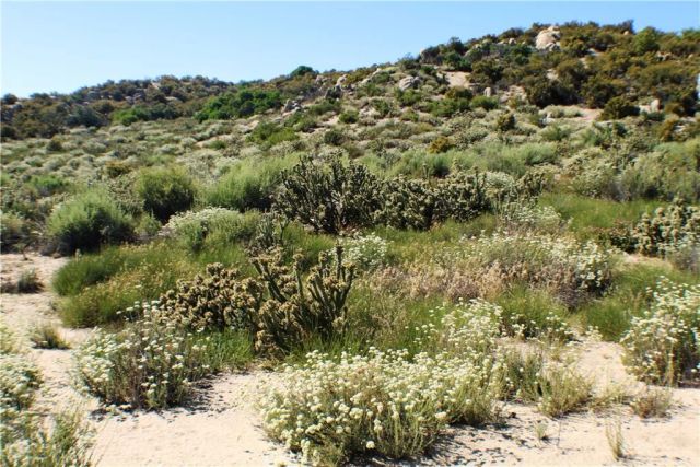 42560 Labrinia, Anza, CA 92539