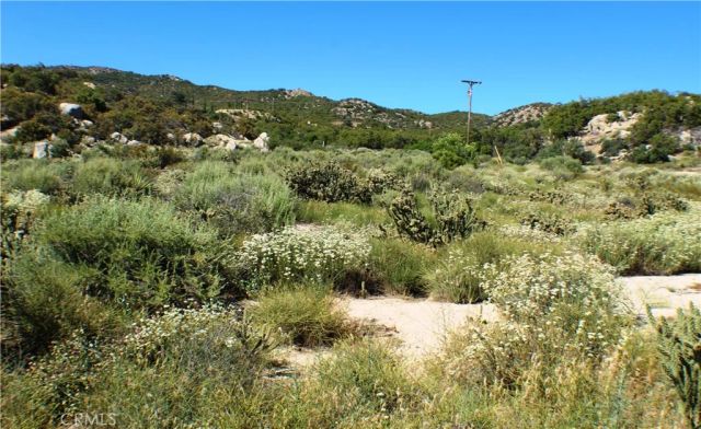 42560 Labrinia, Anza, CA 92539