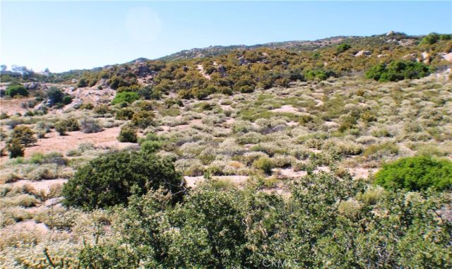 42560 Labrinia, Anza, CA 92539