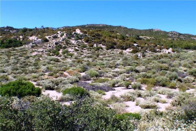 42560 Labrinia, Anza, CA 92539