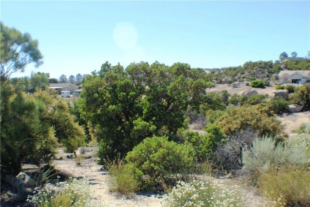 42560 Labrinia, Anza, CA 92539