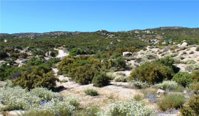 42560 Labrinia, Anza, CA 92539