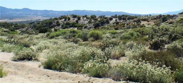 42560 Labrinia, Anza, CA 92539