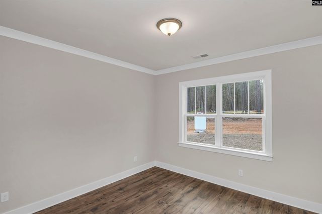 107 Greengarden Drive, Chapin, SC 29036