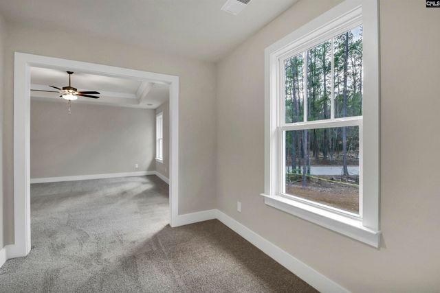 107 Greengarden Drive, Chapin, SC 29036