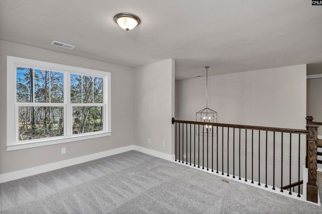 107 Greengarden Drive, Chapin, SC 29036