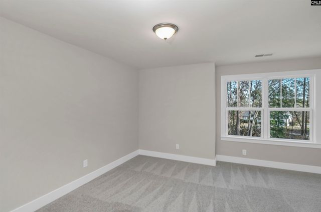 107 Greengarden Drive, Chapin, SC 29036