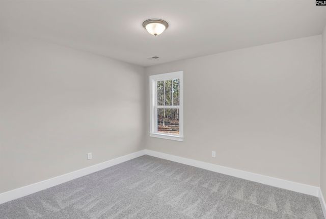 107 Greengarden Drive, Chapin, SC 29036